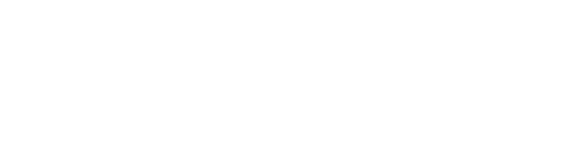 Celebrity Global Realty